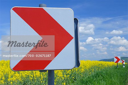 Road Signs next to Canola Field, Bavaria, Germany