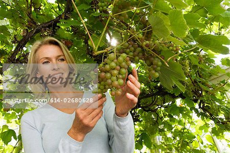 Woman and grapes