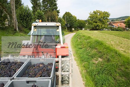 Frankreich, Champagne-Ardenne, Aube, Fahrzeug transportieren Trauben entlang Landstraße