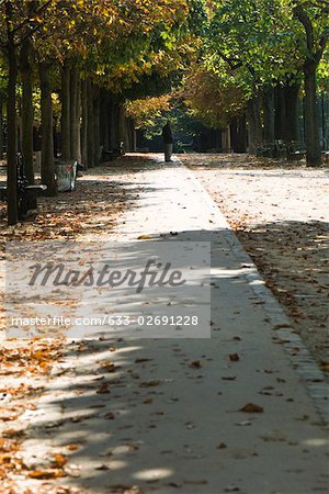 France, Paris, feuilles éparses dans le chemin d'accès au parc