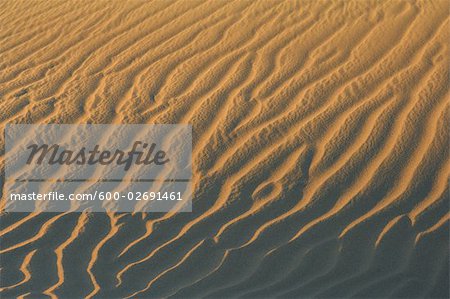 Close-Up of Ripples in Sand Dune, Maspalomas, Playa del Ingles, Gran Canaria, Spain