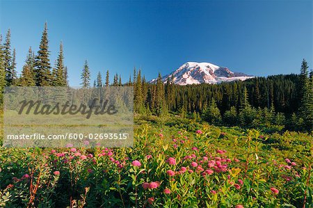 Mount Rainier, Mount Rainier National Park, Pierce County, Cascade Range, Washington, USA
