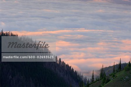 Blick vom Hurrican Ridge, Olympic Nationalpark, Washington, USA