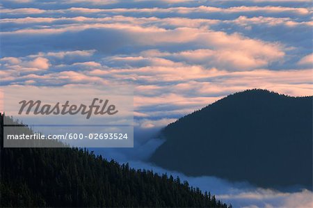 Blick vom Hurrican Ridge, Olympic Nationalpark, Washington, USA