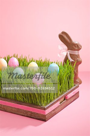 Easter Eggs and Chocolate Bunny
