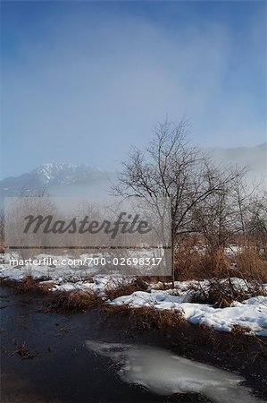 Creek with Golden Ears in Background, Pitt Meadows, British Columbia, Canada