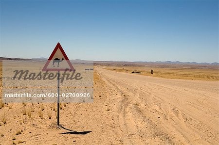 Chameaux traversant signe par la route, Solitaire, Namibie Chameaux traversant signe par la route, Solitaire, Namibie