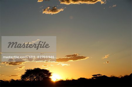 Sunset in Etosha National Park, Kunene Region, Namibia