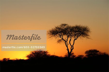 Sunset, Okahandja, Otjozondjupa Region, Namibia