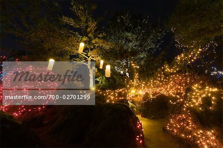 Festival of Lights, VanDusen Botanical Garden, Vancouver, British Columbia, Canada