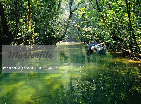 Longboats moored in creek amid rain forest, while tourists visit Clearwater Cave, Mulu National Park, Sarawak, island of Borneo, Malaysia
