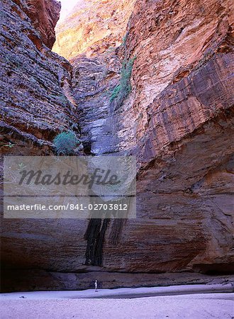 Felsenkessel mit Pool an der Spitze der Cathedral Gorge, Purnululu-Nationalpark, UNESCO-Welterbe-Website Bungle Bungle, Kimberley, Western Australia, Australien, Pazifik