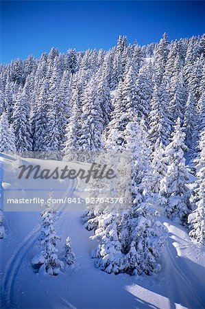 Neige fraîche, Méribel, Trois Vallees, Haute-Savoie, Savoie, France, Europe