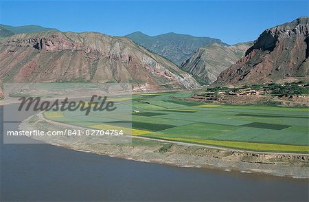 Champs de colza et l'orge par le fleuve jaune à Lajia, Province de Qinghai, Chine, Asie Champs de colza et l'orge par le fleuve jaune à Lajia, Province de Qinghai, Chine, Asie