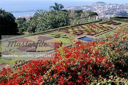 Jardim Botanico (jardin botanique), Funchal, Madeira, Portugal, Atlantique, Europe