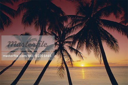 Palm-Baum Silhouetten am Pigeon Point, Tobago, Trinidad und Tobago, Karibik, Caribbean, Central America