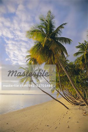 Palmiers et plage, Pigeon Point, Tobago, Trinidad et Tobago, Antilles, Caraïbes, Amérique centrale