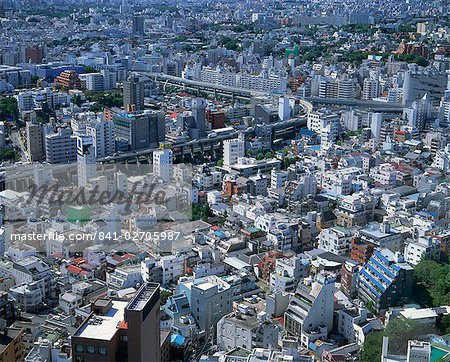 Aerial of the skyline of Tokyo, Japan, Asia Aerial of the skyline of Tokyo, Japan, Asia