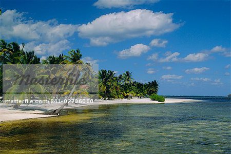 Main dive site in Belize, Ambergris Caye, Belize, Central America