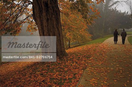 Couple se promenant dans les jardins de Jephson en automne, Leamington Spa, Warwickshire, Midlands, Angleterre, Royaume-Uni, Europe