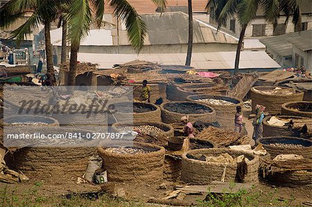 Femmes sécheresse poisson sur charbon de bois, Elmina, Ghana, Afrique de l'Ouest, Afrique