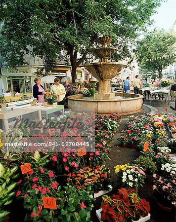 Fountain and flower market, Place aux Aires, Grasse, Alpes-Maritimes, Provence, France, Europe