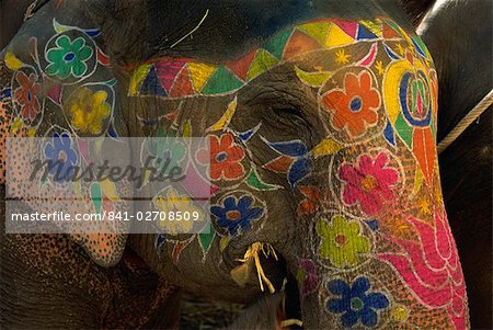 Gros plan d'un éléphant peint, utilisé pour le transport de touristes, Amber Palace, Jaipur, Rajasthan, Inde, Asie