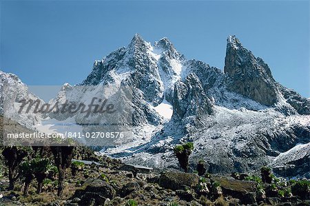 Les sommets du mont Kenya, à partir de la vallée de Teleki, avec poste de garde forestier en avant-plan, Kenya, Afrique de l'est, Afrique Les sommets du mont Kenya, à partir de la vallée de Teleki, avec poste de garde forestier en avant-plan, Kenya, Afrique de l'est, Afrique
