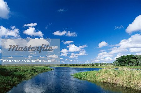 Blick vom Ufer der weißen Wolken und blauer Himmel, Myakka River State Park in der Nähe von Sarasota, Florida, Vereinigte Staaten von Amerika (U.S.A.), Nordamerika