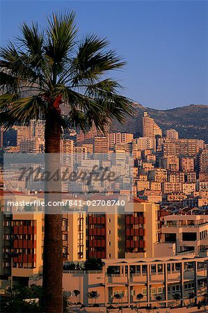 High rise buildings at sunrise, palm tree in foreground, La Condamine, Monaco, Europe High rise buildings at sunrise, palm tree in foreground, La Condamine, Monaco, Europe