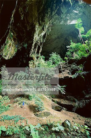 Regardant à travers l'entrée de la grotte, la grotte du cerf, Gunung Mulu National Park, patrimoine mondial de l'UNESCO, Sarawak, l'île de Bornéo, en Malaisie, Asie du sud-est, Asie