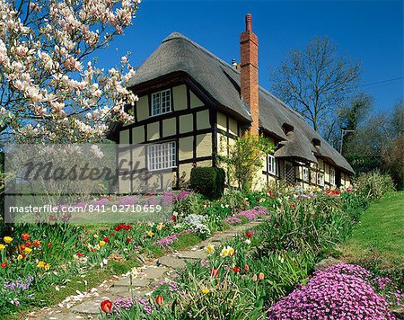 Timber framed thatched cottage and garden with spring flowers at Eastnor in Hereford and Worcester, England, United Kingdom, Europe