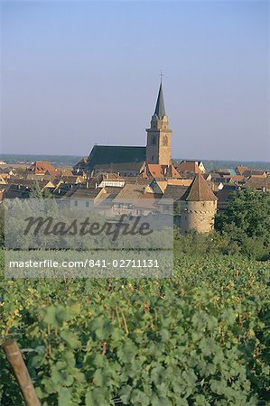 Bergheim et vignobles, Alsace, France, Europe