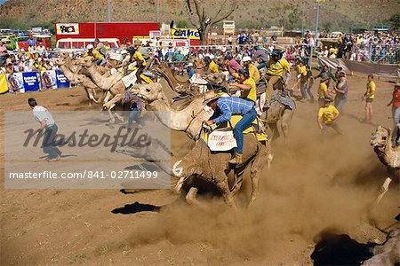 Camel racing, Alice Springs, Northern Territory, Australia, Pacific