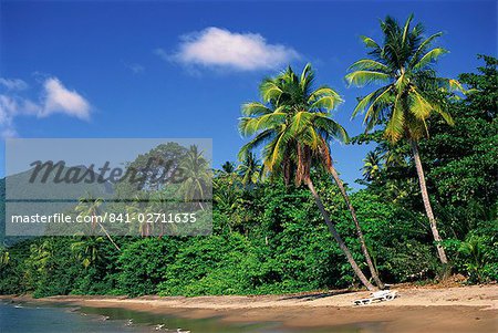 Palm gesäumten Strand, Dominica, Westindische Inseln, Karibik, Mittelamerika