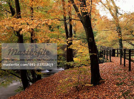 Luftige Herbsttag von der Fußgängerbrücke Fluß Brathay, Skelwith Brücke, Cumbria, England, Vereinigtes Königreich, Europa