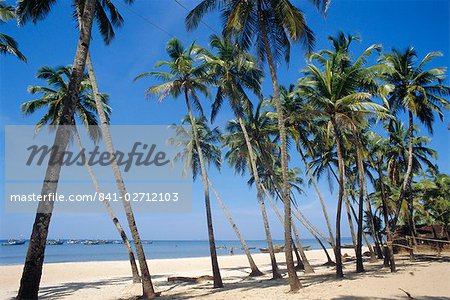 Palm fringed beach, Goa, India