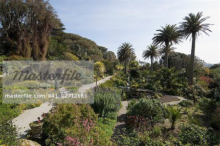 Les jardins de l'abbaye, Tresco, Sorlingues, Cornwall, Royaume-Uni, Europe