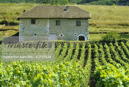 Vignobles et maison de ferme près de Jonjieux en Savoie, Rhone Alpes, France