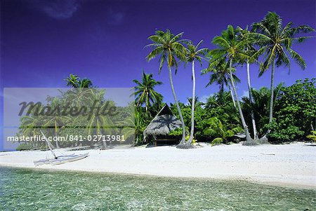 Arbres de palmiers et la plage, Tahiti, îles de la société, Polynésie française, îles du Pacifique Sud, Pacifique