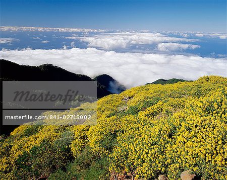 Paysage et nuages près de Roque de los Muchachos, Parque Nacional de la Caldera de Taburiente, La Palma, îles Canaries, Espagne, Europe