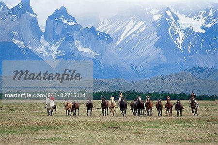 A group of gauchos riding horses, with the Cuernos del Paine (Horns of Paine) mountains behind, Torres del Paine National Park, Patagonia, Chile, South America