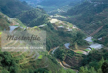 Banaue terraced rice fields, UNESCO World Heritage Site, northern area, island of Luzon, Philippines, Southeast Asia, Asia