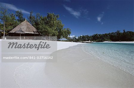 Île de plage tropicale, Ile Aux Cerfs, de Maurice, l'océan Indien, Afrique