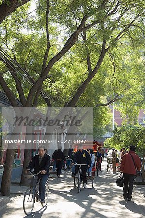 Un arbre doublé avenue dans un quartier zone Hutong de Beijing, Chine, Asie