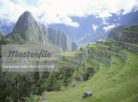 Inca terraces and ruins, Machu Picchu, UNESCO World Heritage Site, Peru, South America Inca terraces and ruins, Machu Picchu, UNESCO World Heritage Site, Peru, South America