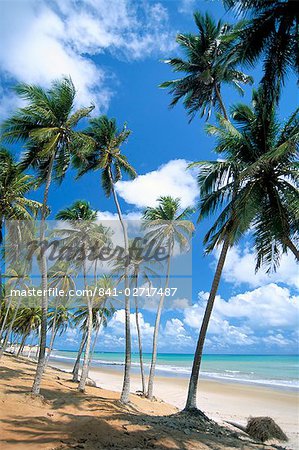 Cabo de Sao Roque, Natal, Rio Grande do Norte state, Brazil, South America