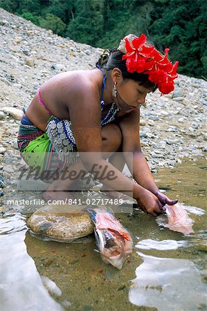 Embera Indian cleaning fish, Soberania Forest National Park, Panama, Central America