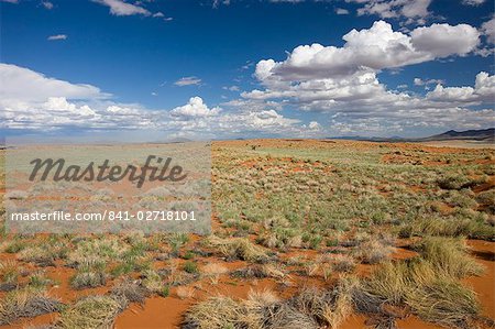 Wolvedans, Namib Rand Nature Reserve, Namibia, Afrika