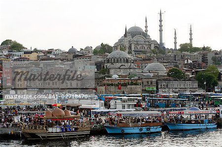 City view with the Suleymaniye Mosque in the background, Istanbul, Turkey, Europe